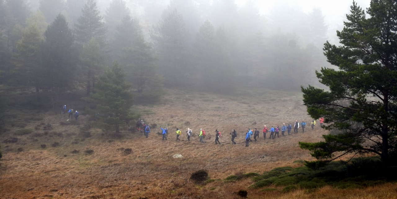 WhatsApp Image 2026-02-09 at 20.29.02 (4)